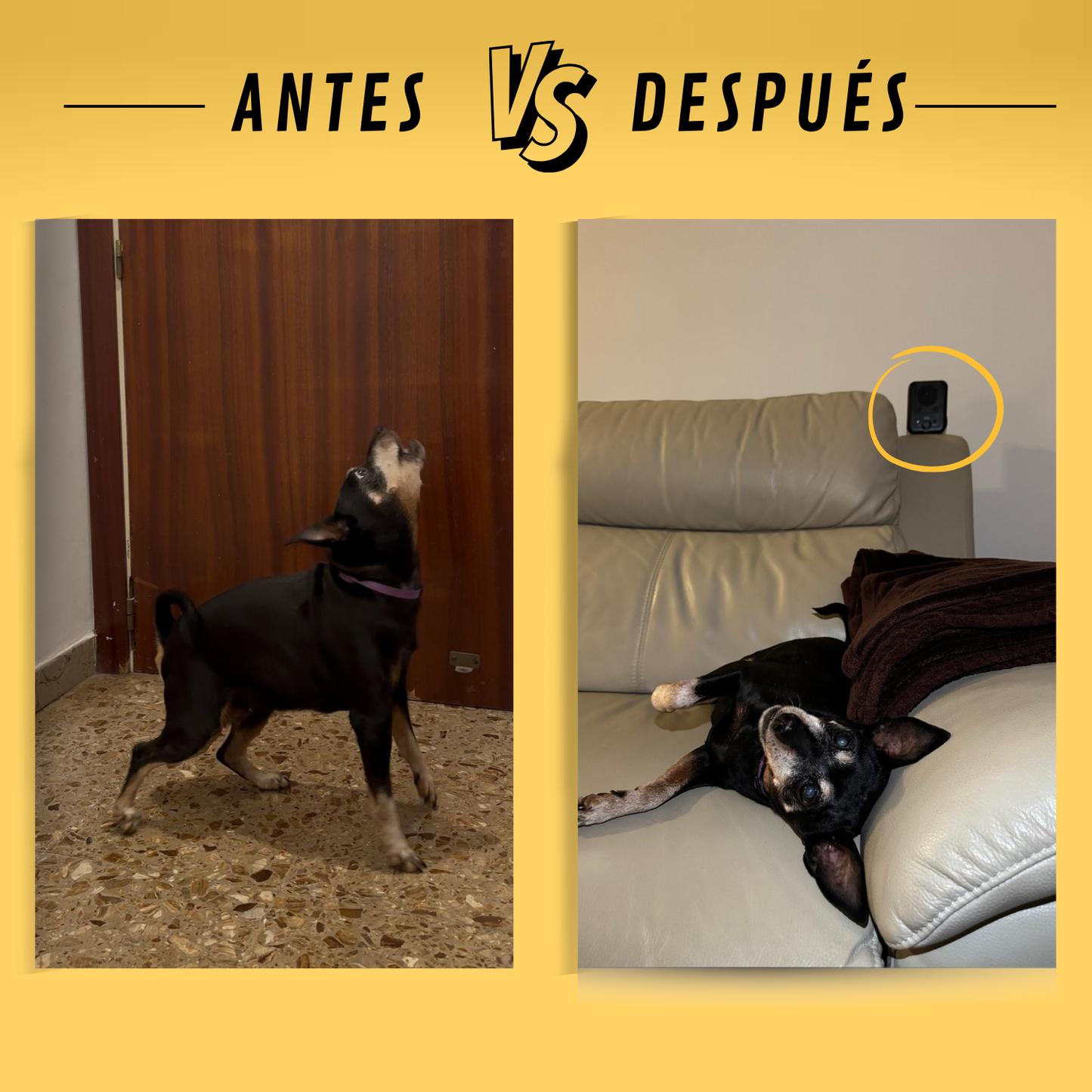 Dispositivo Antiladrido Inteligente para Perros