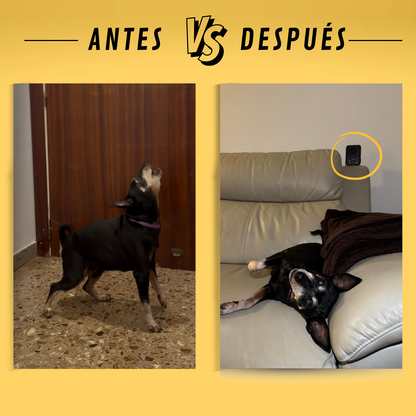 Dispositivo Antiladrido Inteligente para Perros