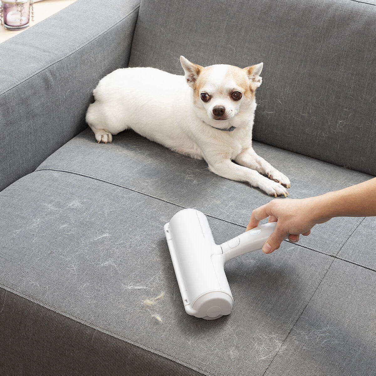 Rodillo Quitapelos para Mascotas - Oh My Dog! 🐾