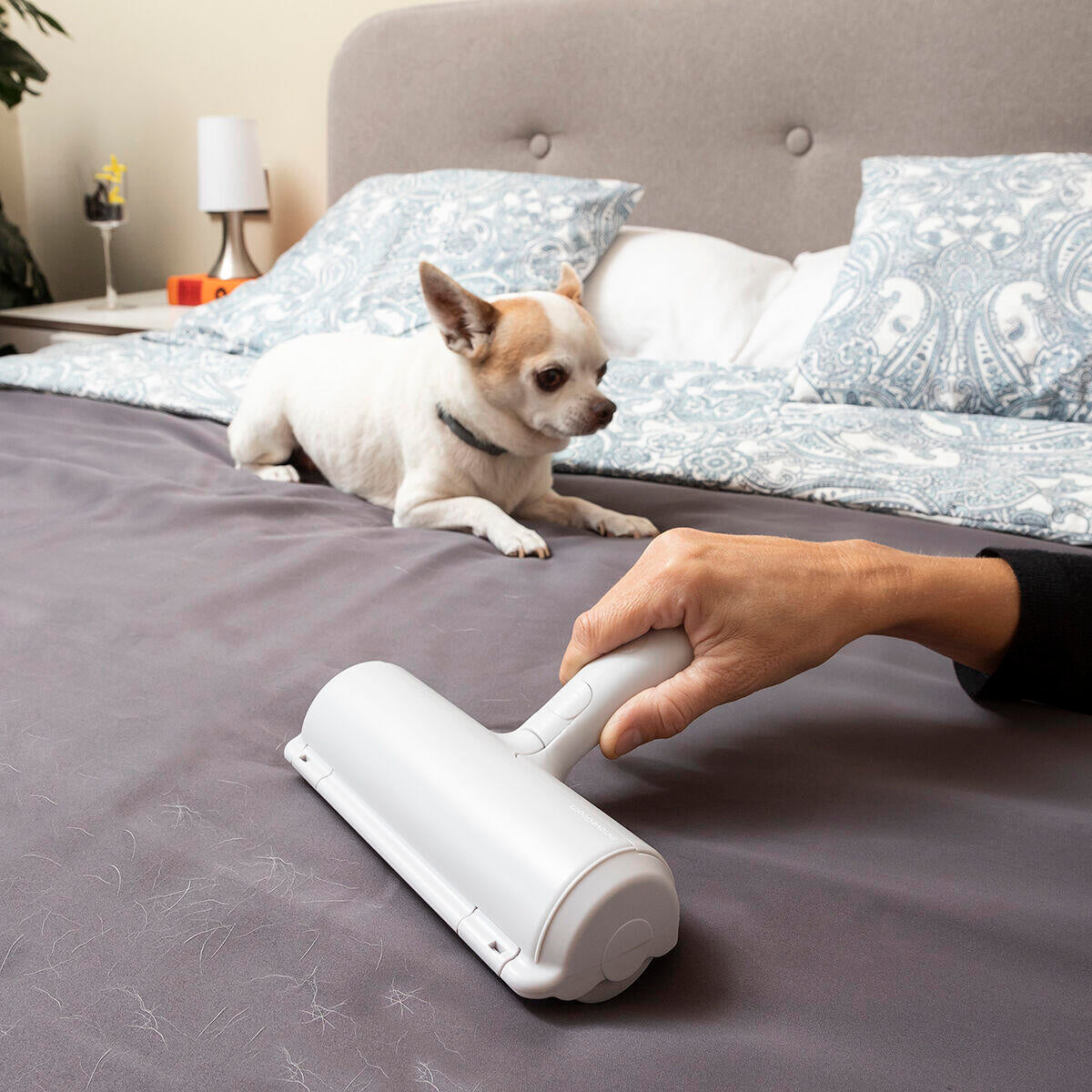 Rodillo Quitapelos para Mascotas - Oh My Dog! 🐾